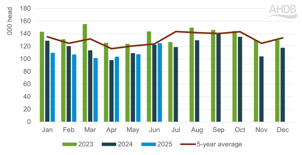 Chart showing monthly UK slaughter of adult sheep to June 2025